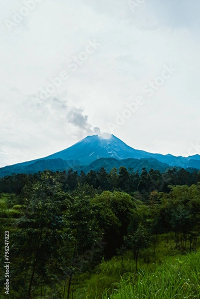 Fototapeta Mount Merapi in Indonesia in the afternoon is very clear and majestic against a background of blue sky and green forest with a ravine flowing cold lava in the foreground.