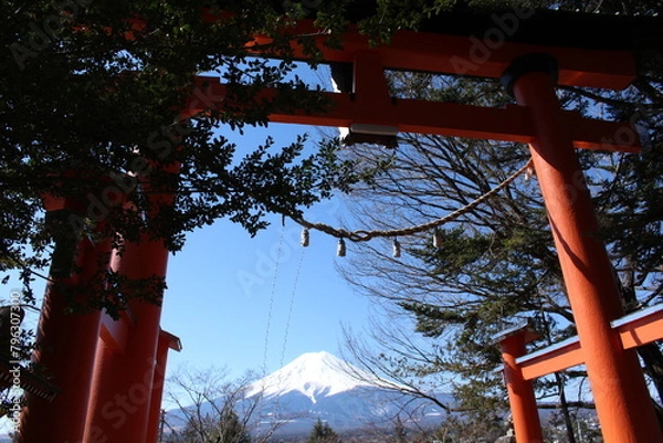 Obraz Japanese traditional shrine gate with Mount Fuji