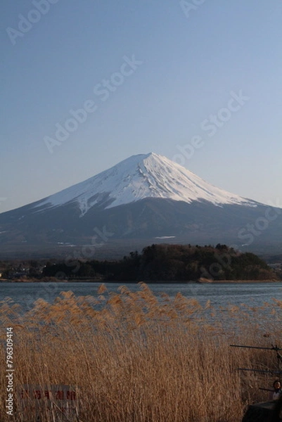 Obraz Mount Fuji with sunny blue sky and lake in Japan