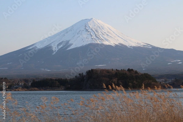 Obraz Mount Fuji with sunny blue sky and lake in Japan