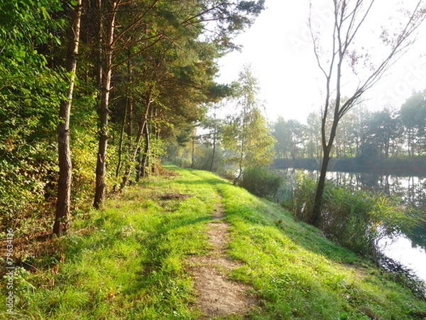Fototapeta ścieżka