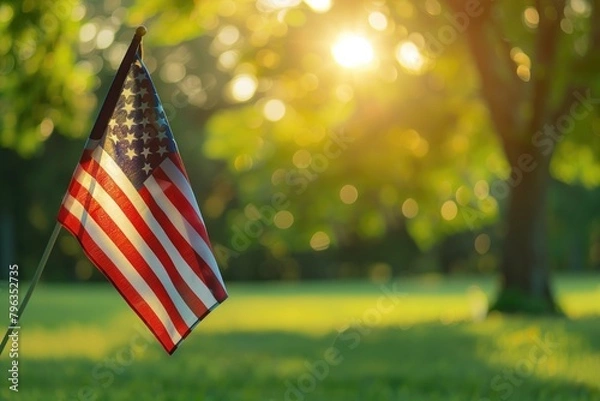 Obraz American Flag in public park