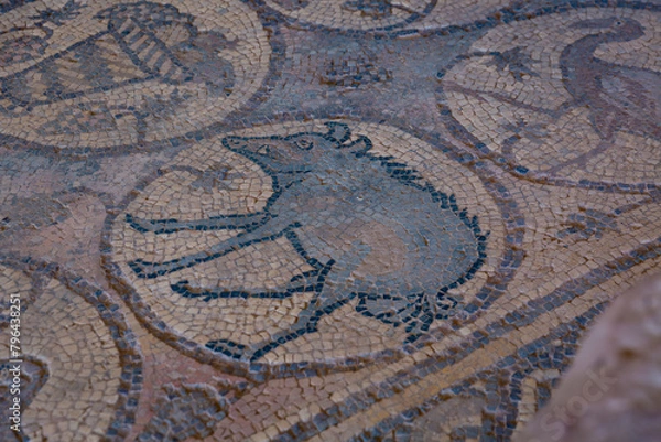 Obraz A moisaic detail in the Byzantine Church in the archeological site of Petra in Jordan