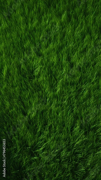 Obraz 3D rendering of grass texture