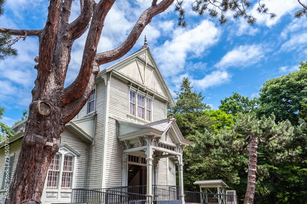 Fototapeta 北大の森の中