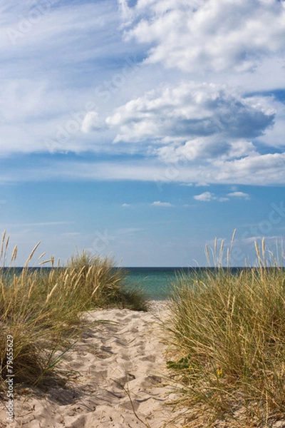 Fototapeta Ścieżka do plaży w Tisvildeleje - Dania 2