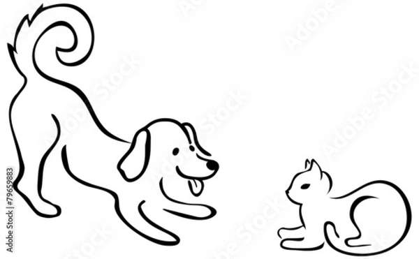 Fototapeta Dog & cat playing