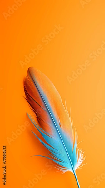 Fototapeta feathers floating on background