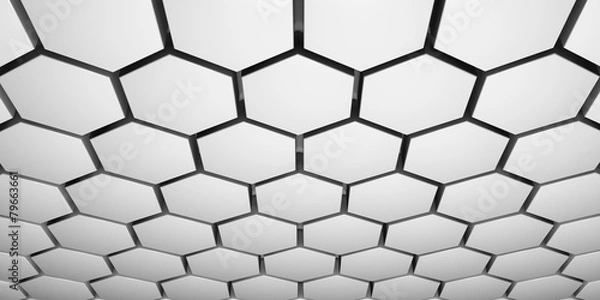 Obraz honey comb structure