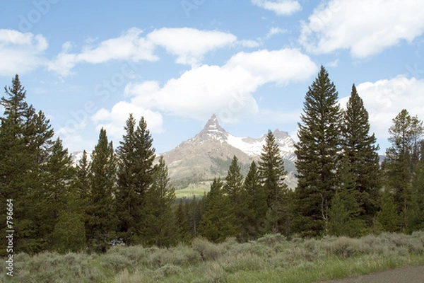 Obraz index and pilot peaks