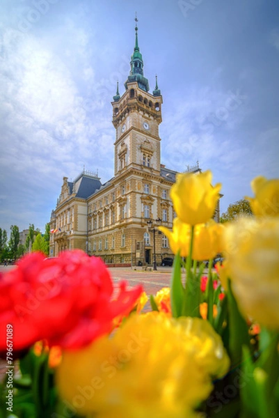 Obraz Bielsko-Biała kwiaty wiosna
