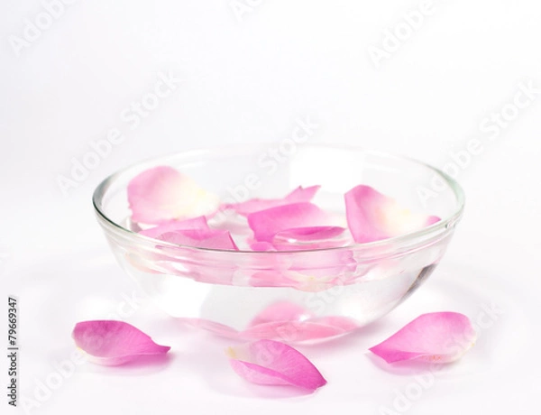 Fototapeta Infused water with rose petals in a reflection bowl