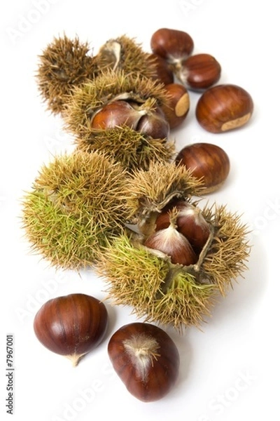 Fototapeta Chestnuts