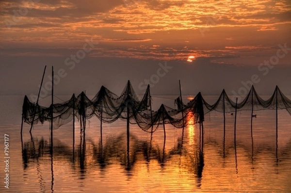 Obraz Albufera. Valencia.