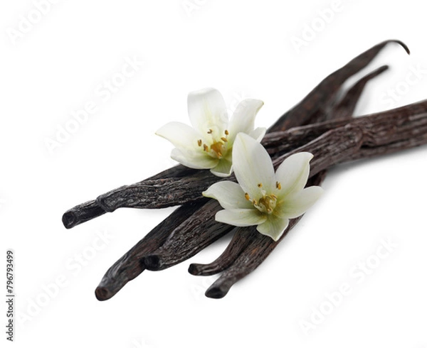 Obraz Vanilla pods and flowers isolated on white