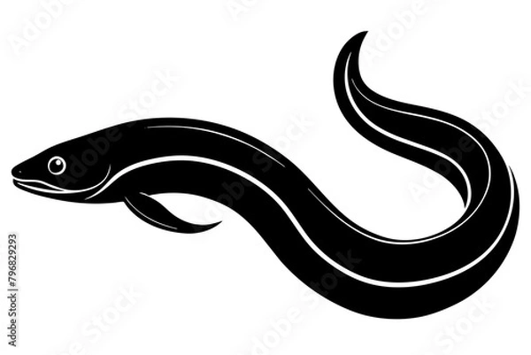 Obraz Eel silhouette vector illustration isolated on a white background 