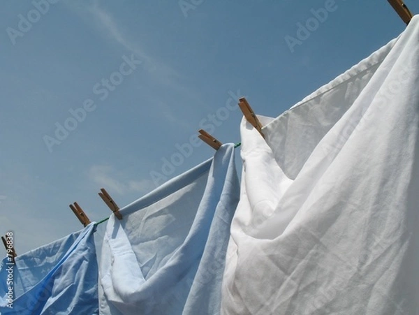 Obraz washing line