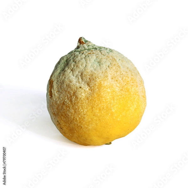 Fototapeta citron moisi