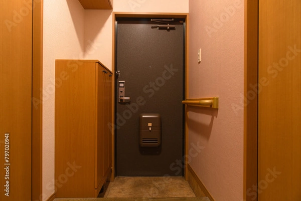 Fototapeta 室内側から見た玄関