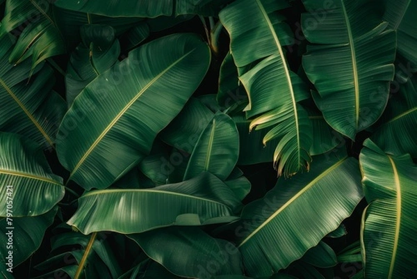 Fototapeta High-End Dark Green Leaves Seamless Texture. Beautiful simple AI generated image in 4K, unique.