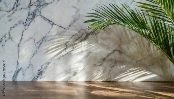 Obraz marble wall with shadow from palm tree