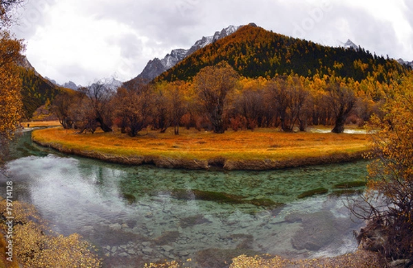 Obraz Meadow Chong Gu