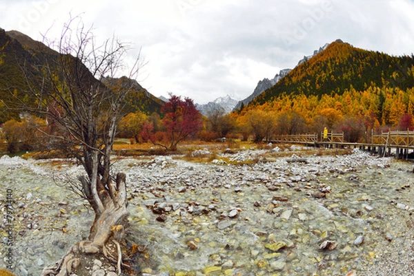 Obraz Meadow Chong Gu in Yading