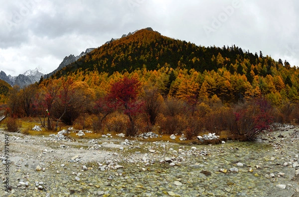 Obraz Meadow Chong Gu in Yading