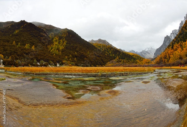 Obraz Meadow Chong Gu