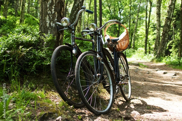 Obraz Two bikes in forest