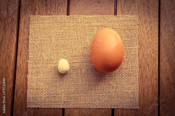 Fototapeta Two Eggs of different sizes