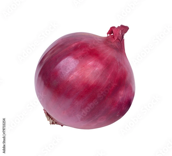 Obraz Лук репчатый красный