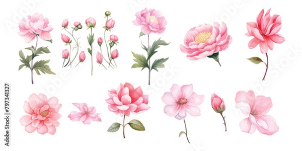 Obraz Water color flowers are suitable for wedding invitation elements