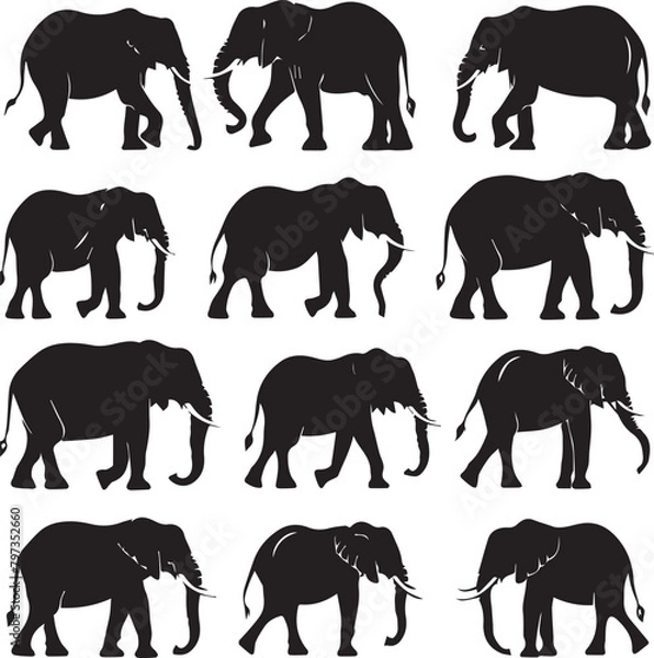 Fototapeta set of animals silhouettes