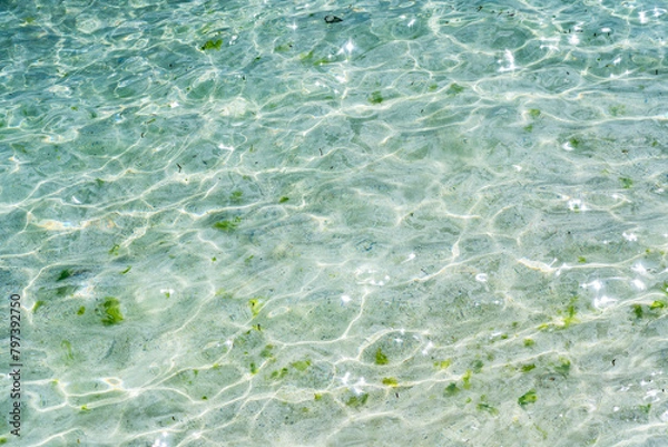 Fototapeta 古宇利島の海が綺麗