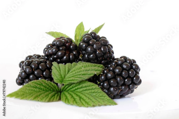 Fototapeta Blackberries