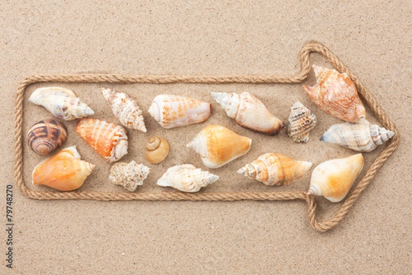 Obraz Pointer made of rope with sea shells