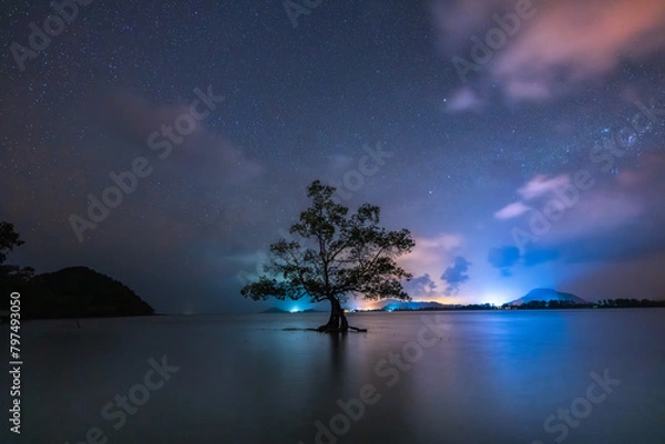 Obraz Lonely Tree under Stars