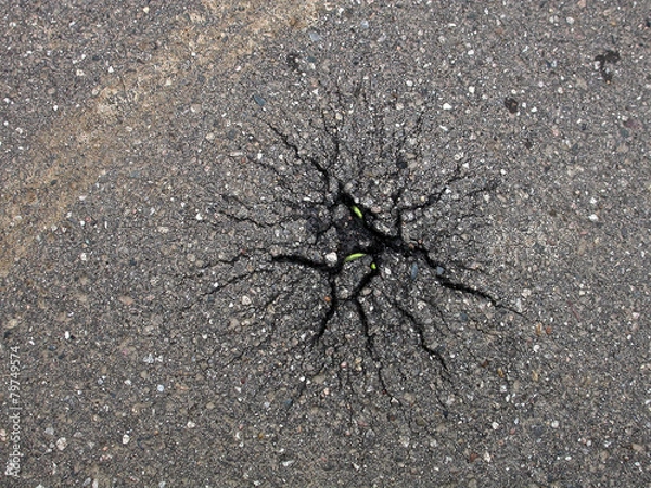 Fototapeta асфальт