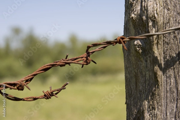 Obraz stacheldraht 2