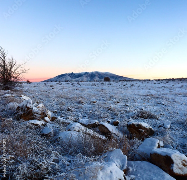 Obraz winter landscape in the mountains