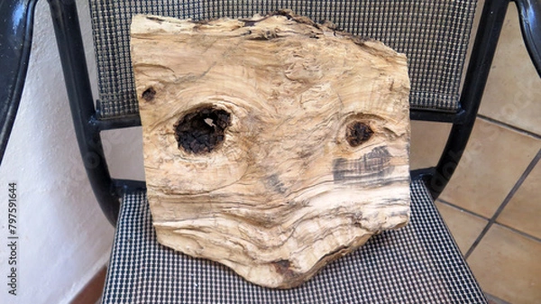 Obraz Face on Olive Log