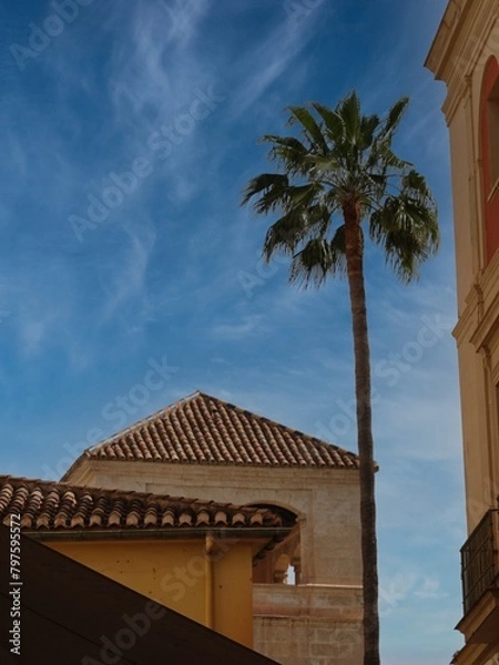 Obraz Vista de S. Agustín