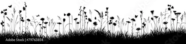 Obraz Wektor Sommerwiese