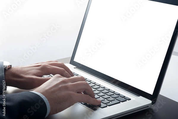 Fototapeta Businessman  working with the computer