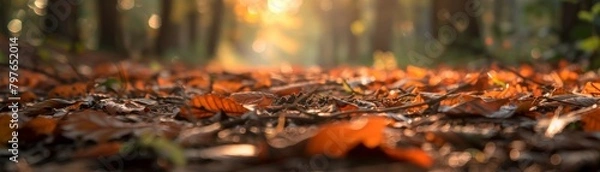 Fototapeta Closeup photo of the soft, earthy browns of forest leaves and soil, highlighting the calm and tranquil atmosphere of a secluded spot