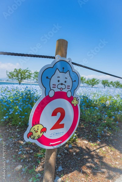 Obraz 舞洲ネモフィラ祭り