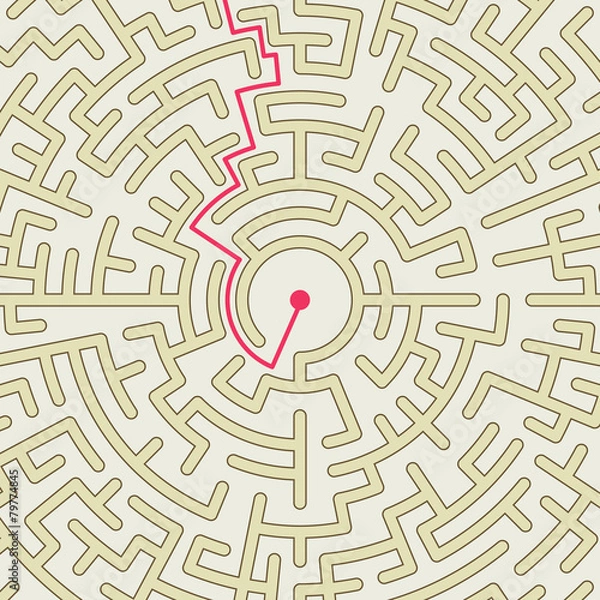 Fototapeta close-up look at circular maze