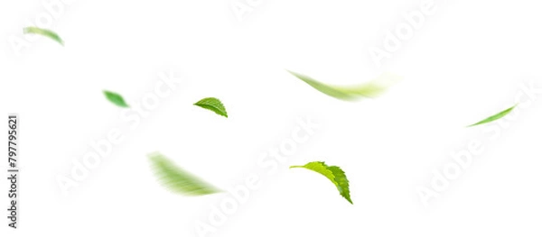 Obraz Green Floating Leaves Flying Leaves Green Leaf Dancing, Air Purifier Atmosphere Simple Main Picture.