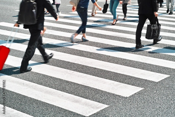 Obraz zebra crossing